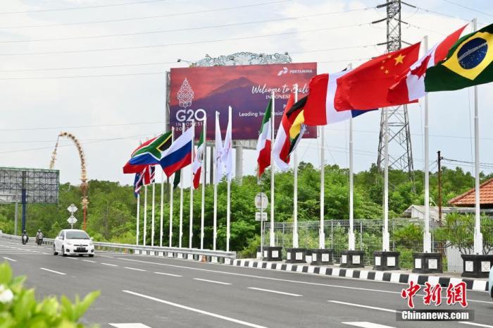 印尼巴厘島道路上G20成員國的國旗及歡迎海報。 中新社記者 李志華 攝